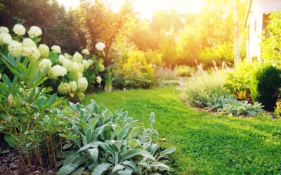 Semis de gazon à Épinal : Boux’Fleurs vous accompagne pour réussir l’aménagement de votre jardin