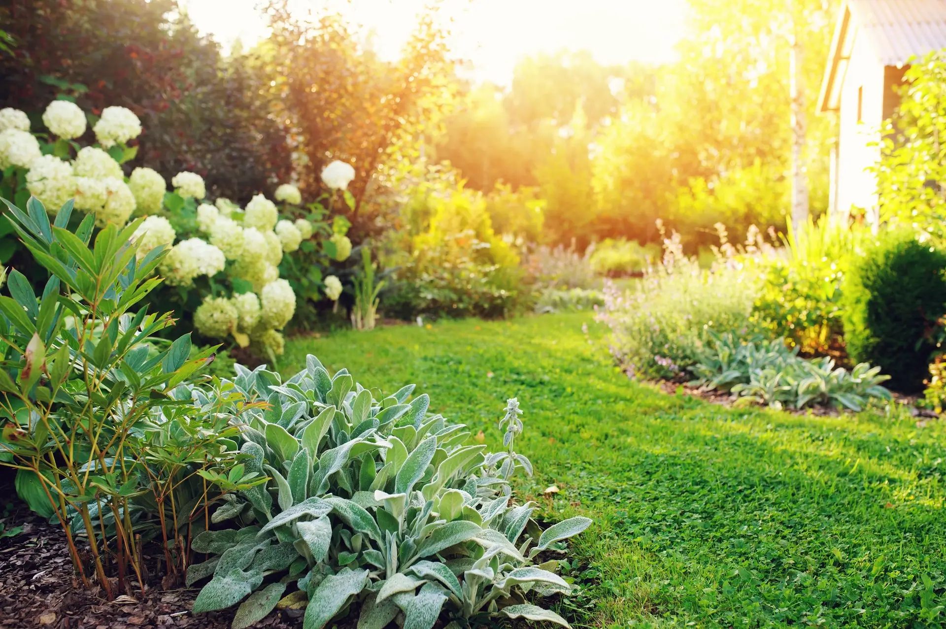 Semis de gazon à Épinal : Boux’Fleurs vous accompagne pour réussir l’aménagement de votre jardin