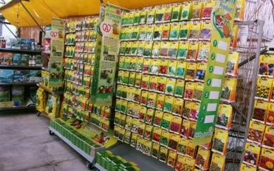 Pourquoi choisir Boux’Fleurs pour acheter vos semences potagères à Épinal ?