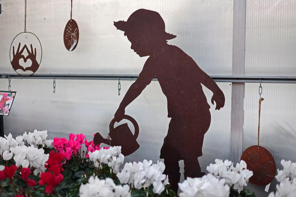 Outillage de jardin à Épinal : tout le nécessaire pour vos projets de jardinage