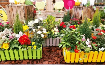 Plantes décoratives dans les Vosges : une production locale et respectueuse de l’environnement