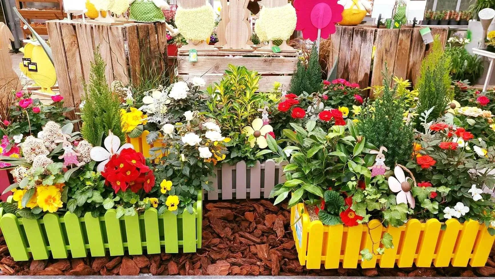 Plantes décoratives dans les Vosges : une production locale et respectueuse de l’environnement