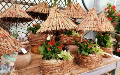 Décoration saisonnière à Vittel : sublimez votre intérieur et votre jardin avec Boux’Fleurs