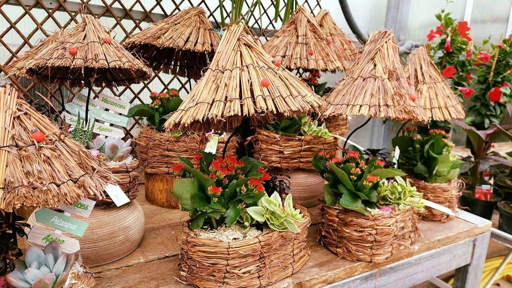 Décoration saisonnière à Vittel : sublimez votre intérieur et votre jardin avec Boux’Fleurs